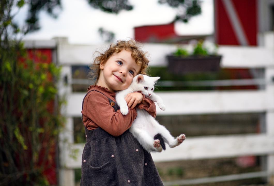 Породи котів: ТОП муркотливих друзів, які чудово ладнають з дітьми